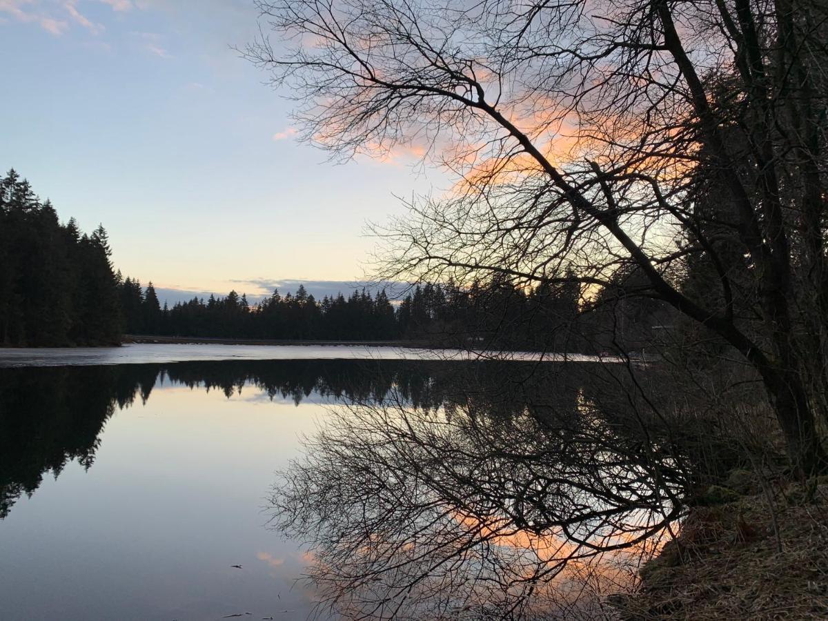 Apartmán Waldhaus Hahnenklee Goslar Exteriér fotografie