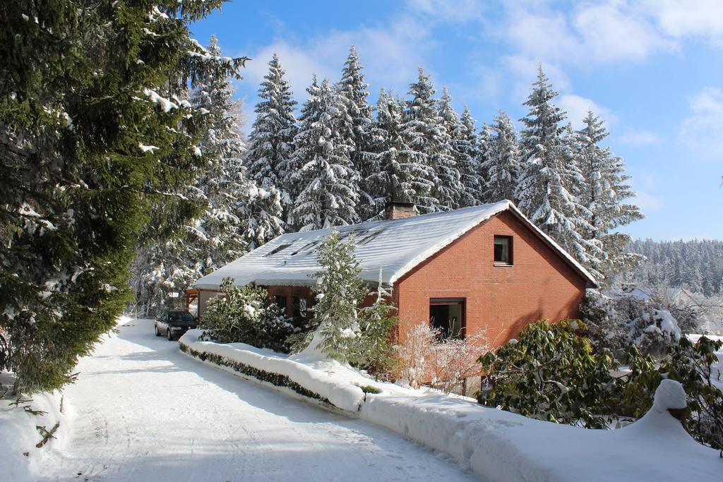 Apartmán Waldhaus Hahnenklee Goslar Exteriér fotografie